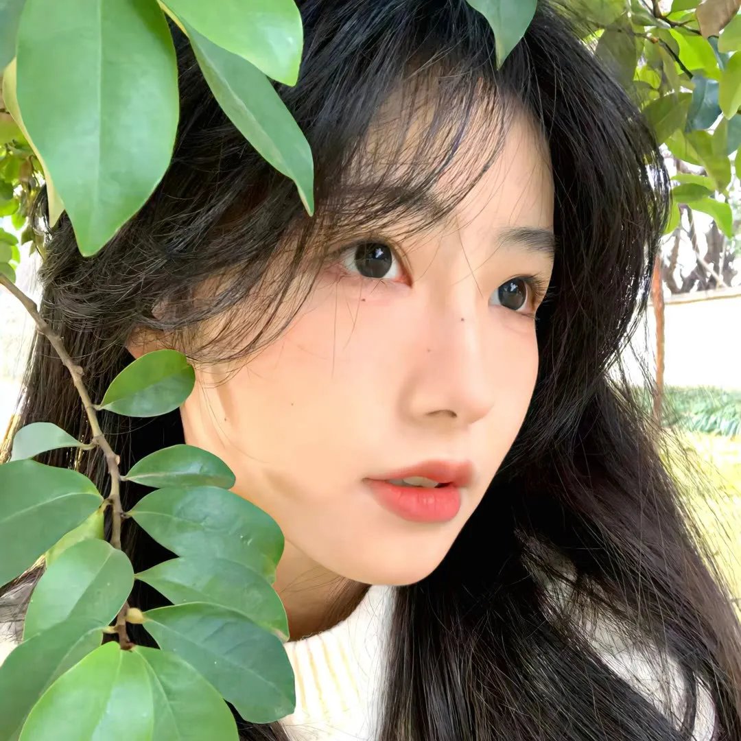 寻找苏珊